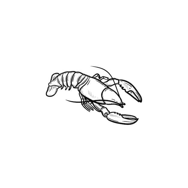 Premium Vector | Lobster hand drawn outline doodle icon. vector sketch ...