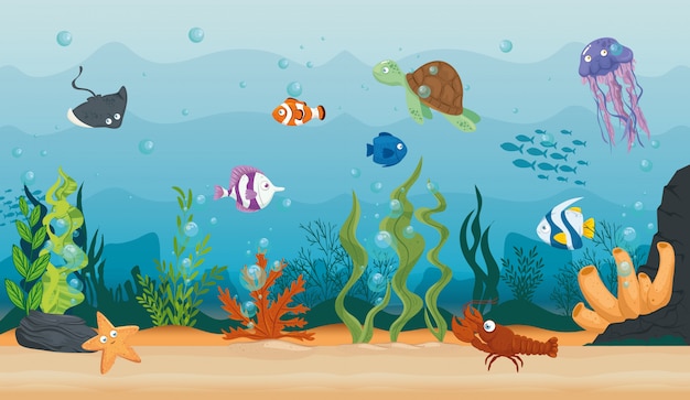 魚と海 海の住人 かわいい水中の生き物 生息地の海洋の概念の野生の海洋動物とロブスター プレミアムベクター