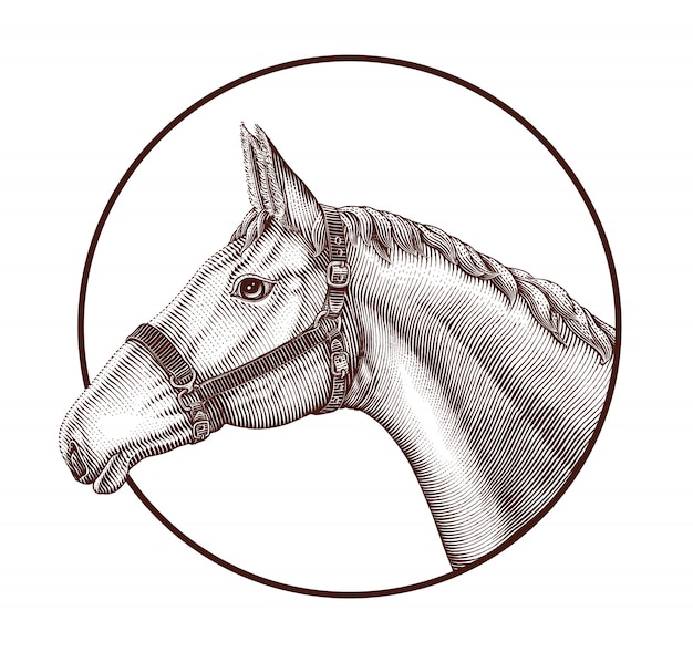 Download Free Logo Of Horse Head In Circle Hand Draw Vintage Engraving Style Use our free logo maker to create a logo and build your brand. Put your logo on business cards, promotional products, or your website for brand visibility.