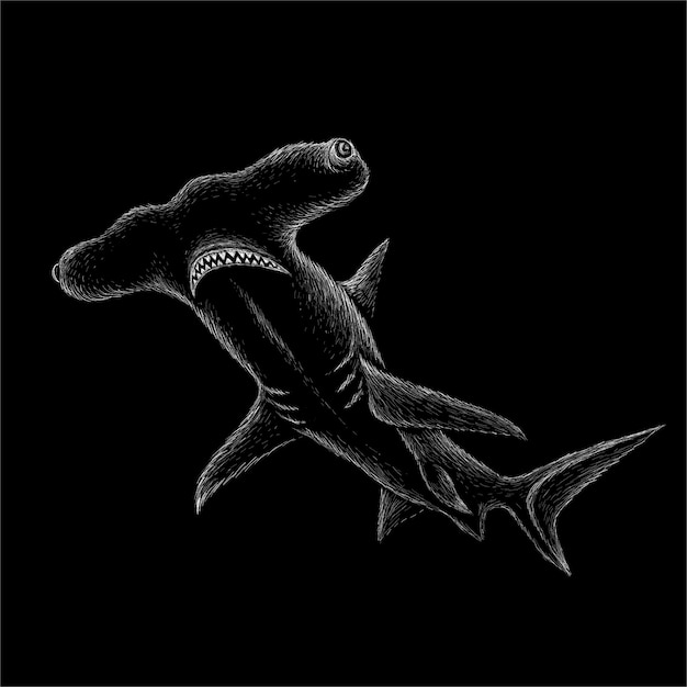 Free Free 134 Hammerhead Shark Svg Free SVG PNG EPS DXF File