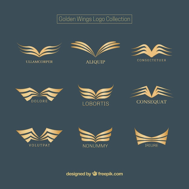 Logos of golden wings collection Vector | Free Download