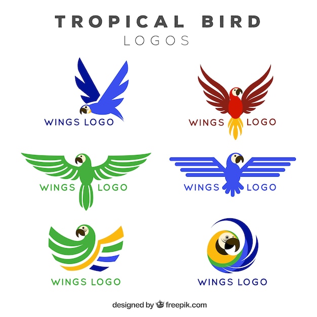 Logos of tropical bird wings