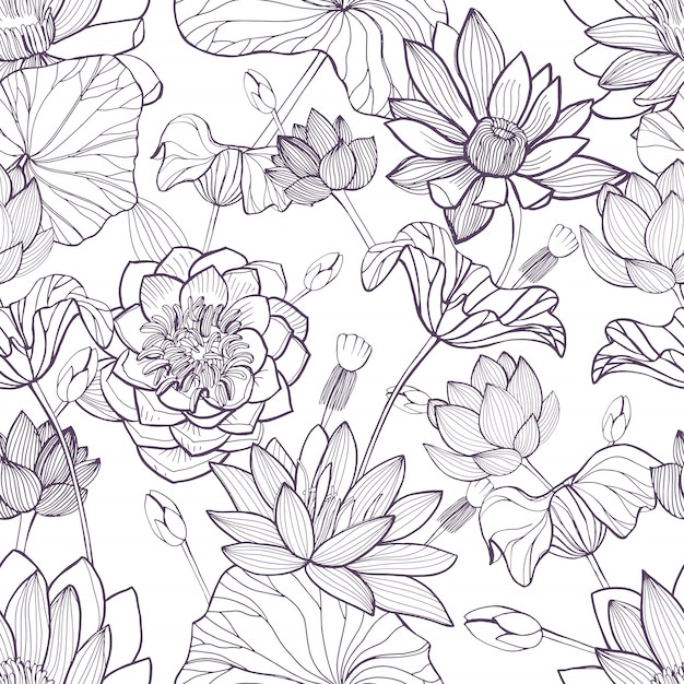 蓮の花のシームレスなパターン 手描きのモノクロ背景 プレミアムベクター
