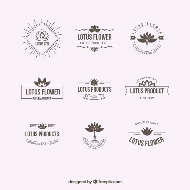 Lotus Logo Vector Free Download