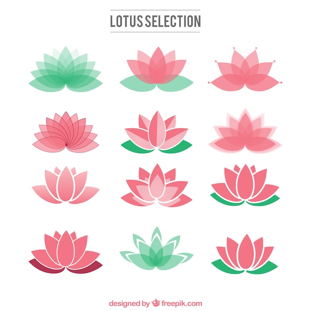 lotus flower clip art free download - photo #30