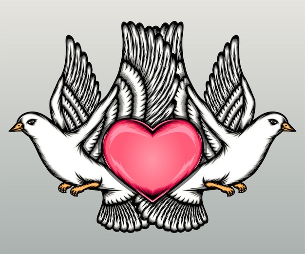 Premium Vector | Love pigeon couple with heart isolated on gray