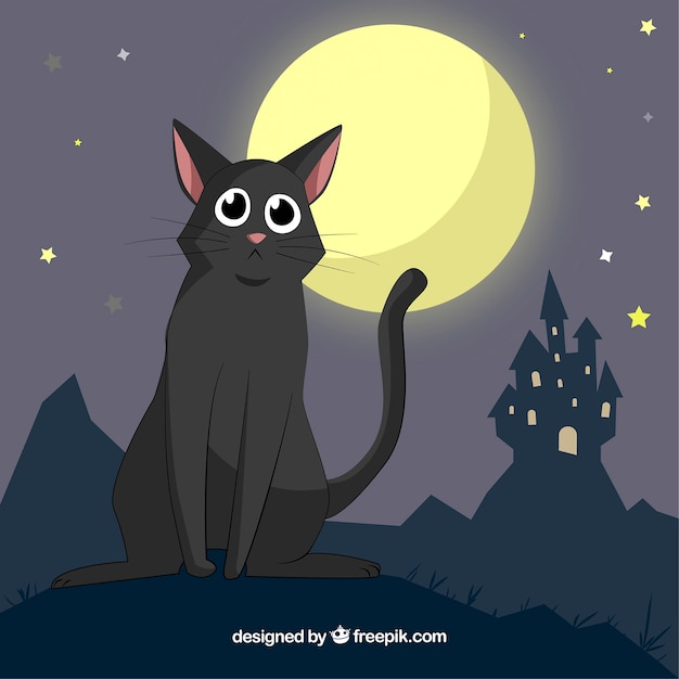 Lovely black cat and haunted house