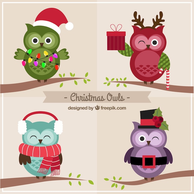 Download Free Vector | Lovely christmas owls