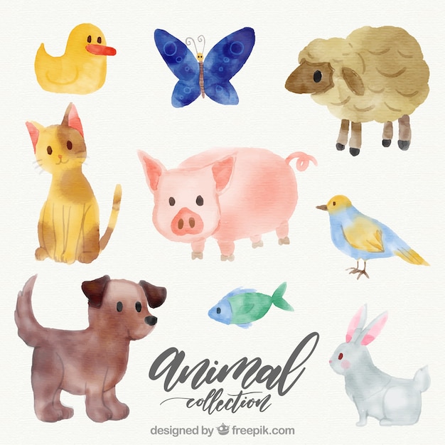 free-vector-lovely-collection-of-watercolor-animals