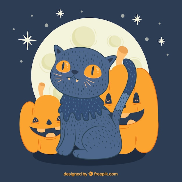 Lovely halloween cat with pumpkins