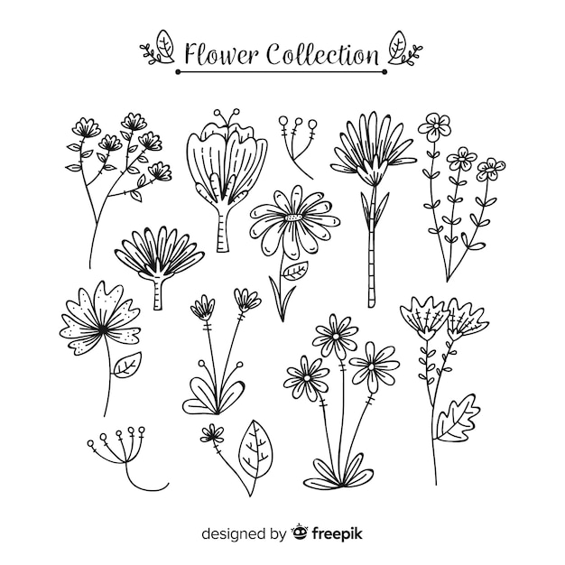 Free Vector | Lovely hand drawn flower collection