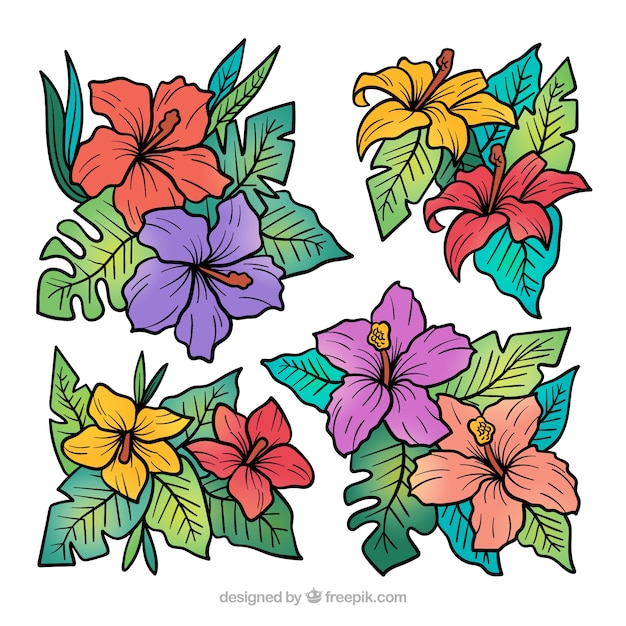 Lovely hand drawn tropical flower\
collection