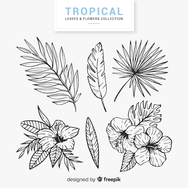 Lovely hand drawn tropical flower\
collection