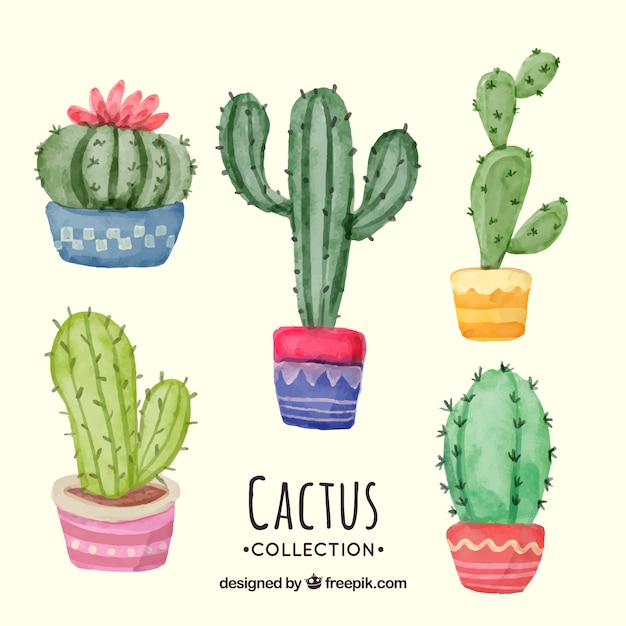 Download Lovely pack of watercolor cactus Vector | Free Download