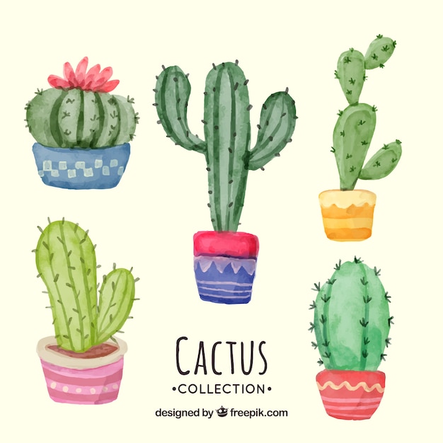 Lovely pack of watercolor cactus | Free Vector