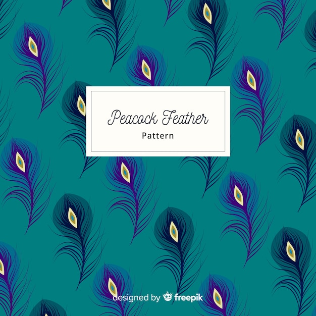 Download Lovely peacock feather pattern with flat design Vector ...