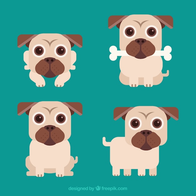 Lovely pugs with cute style