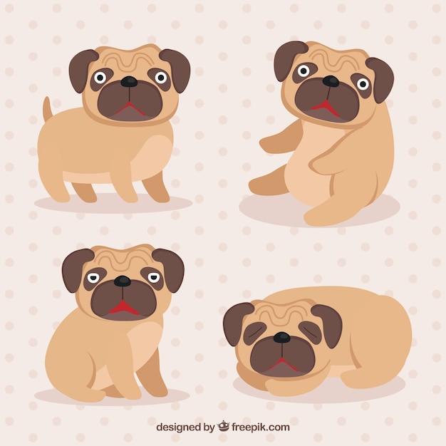 Lovely pugs with fun style