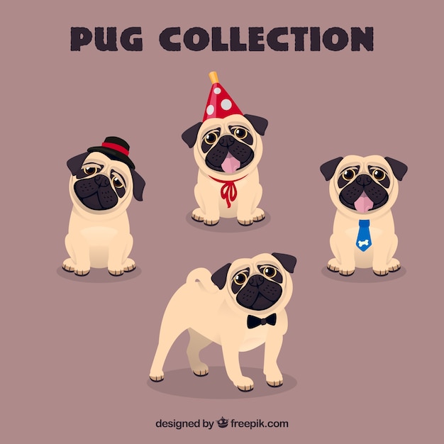 Lovely pugs with funny elements
