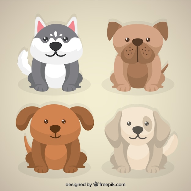 Lovely puppy pack