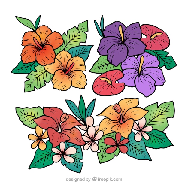 Free Vector Lovely Set Of Hand Drawn Tropical Flowers