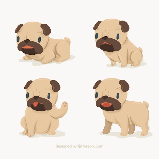 Lovely set of pug puppies