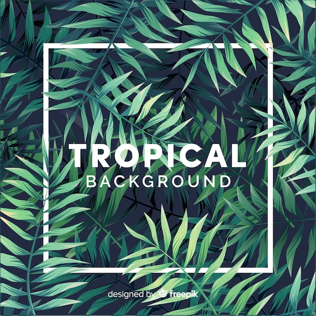 Tropical Vectors, Photos and PSD files | Free Download