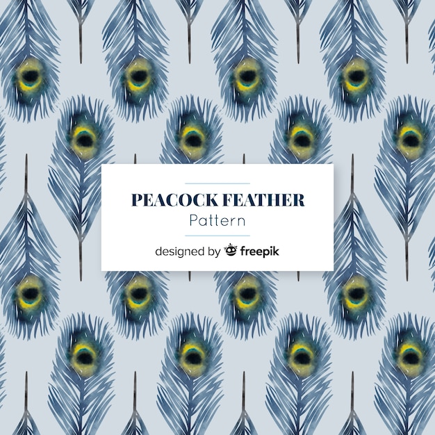 Download Lovely watercolor peacock feather pattern | Free Vector