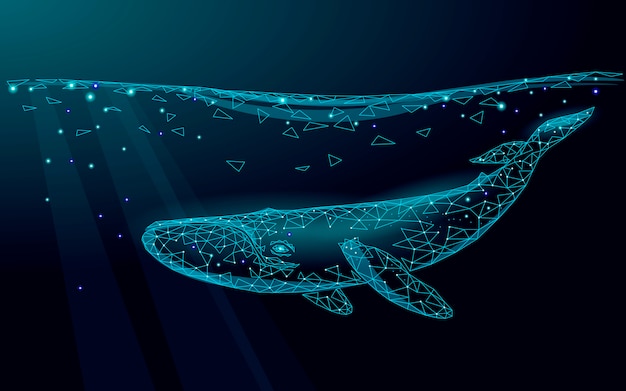 Low poly 3d whale swimming undersea. water ocean surface dark night ...