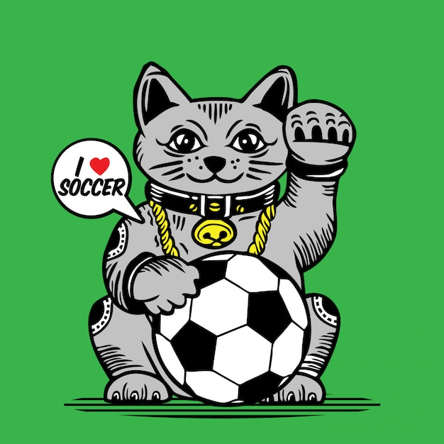 cat soccer ball