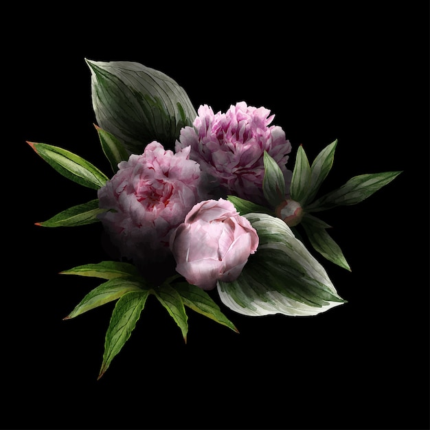 控えめな 黒い背景 ピンクの牡丹と葉 手描きのwtercolorイラストの緑豊かな花の花束 プレミアムベクター