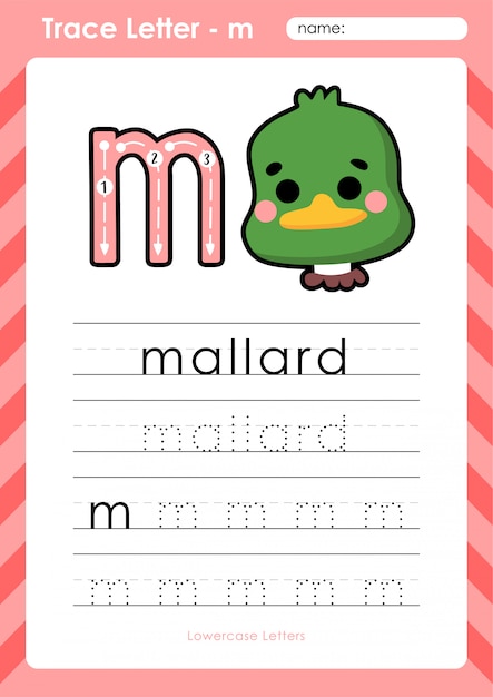 Premium Vector M Mallard Alphabet A Z Tracing Letters Worksheet Exercises For Kids