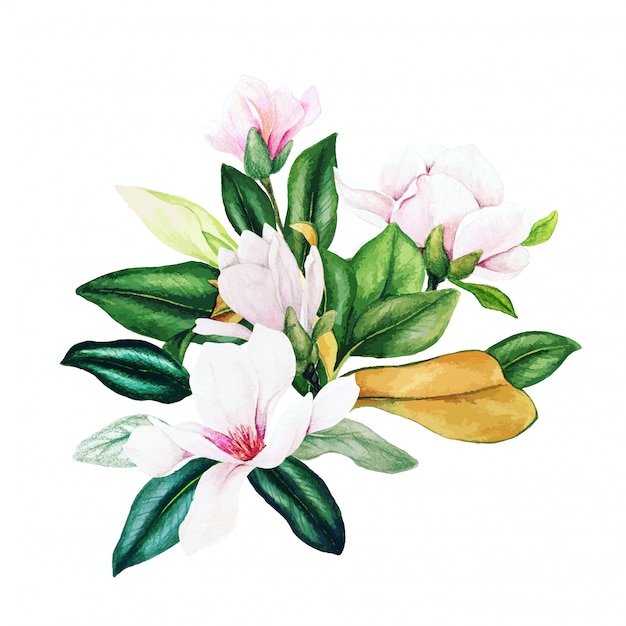 マグノリアと葉 明るい水彩画の花束 手描き プレミアムベクター