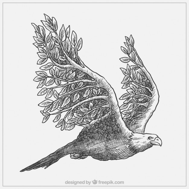 Majestic hand drawn eagle with branches