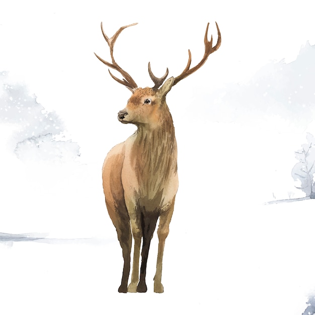 Download Wood Deer Vectors, Photos and PSD files | Free Download