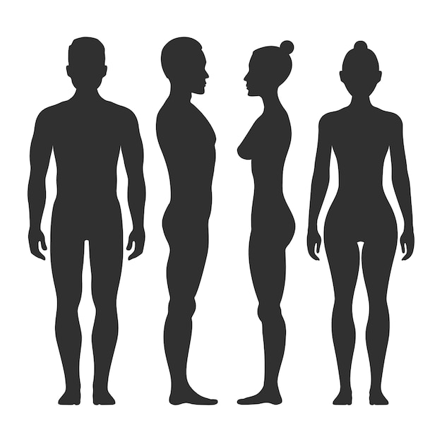 男と女のベクトルの正面と側面のシルエット 体の男性と女性のイラストのイラスト プレミアムベクター