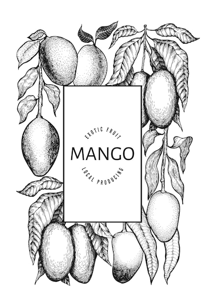 マンゴーデザインテンプレート 手描きベクトル熱帯フルーツイラスト 刻まれたスタイルのフルーツ ヴィンテージエキゾチックな食品のバナー プレミアムベクター