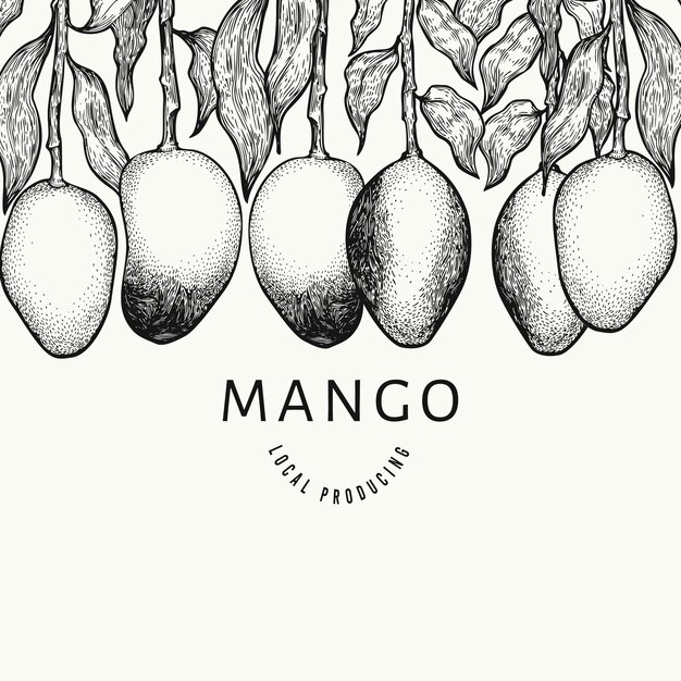 マンゴーのデザインテンプレートです 手描きの背景トロピカルフルーツイラスト プレミアムベクター