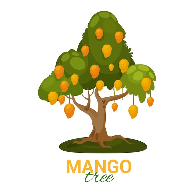 Free Vector Mango Tree With Fruits And Leaves Illustrated