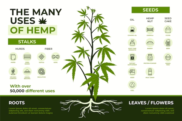 Free Vector | Many healthy benefits of using medicinal cannabis