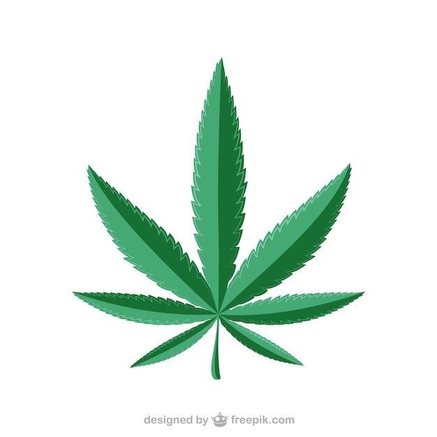 Marijuana leaf