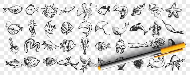 海洋生物の落書きセット 手描きのテンプレートのコレクションは さまざまな海と海の魚のサメ カメ タコのカキのパターンをスケッチします 野生動物環境自然イラストの動物 プレミアムベクター