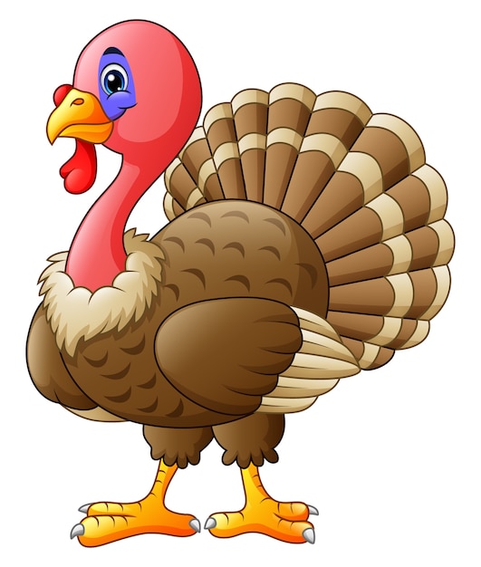 Premium Vector | Mascot cartoon turkey cute