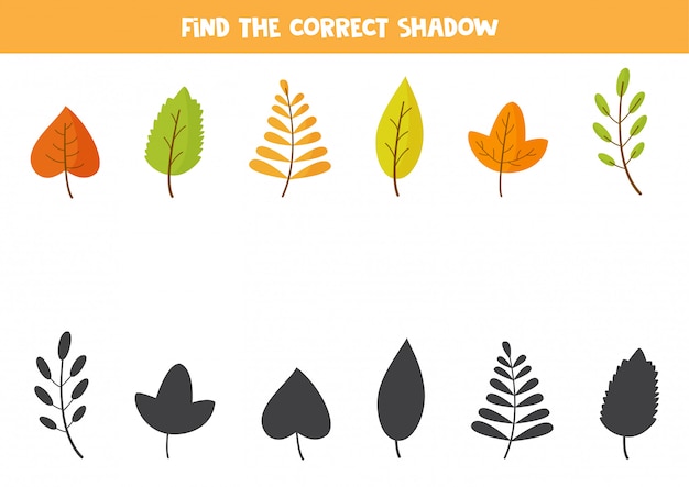 Premium Vector | Match Autumn Leaves And Their Shadows. Logical Puzzle.