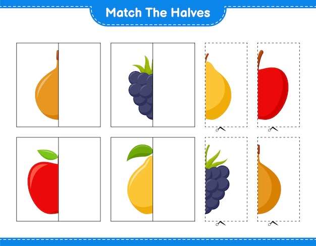 Premium Vector | Match the halves. match halves of fruits. educational ...