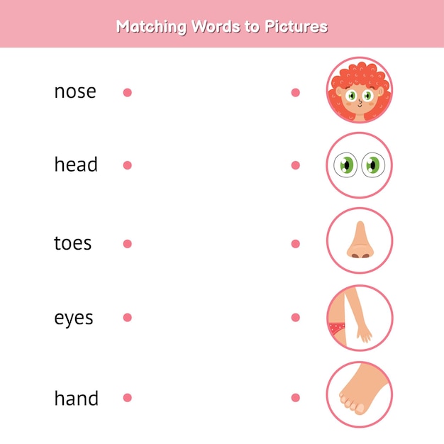 premium-vector-match-the-words-to-pictures-learn-to-read-matching