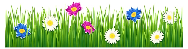 Premium Vector | Meadow flowers in green grass. horizontal seamless border