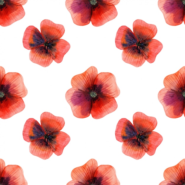 Premium Vector | Meadow poppy flowers seamless pattern