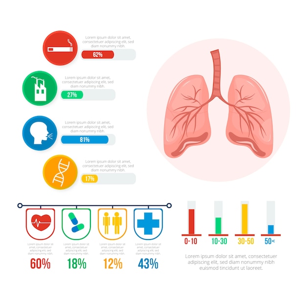 Medical health infographic template Vector Free Download