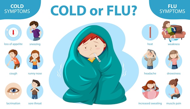 Free Vector Medical Infographic Of Cold And Flu Symptoms 